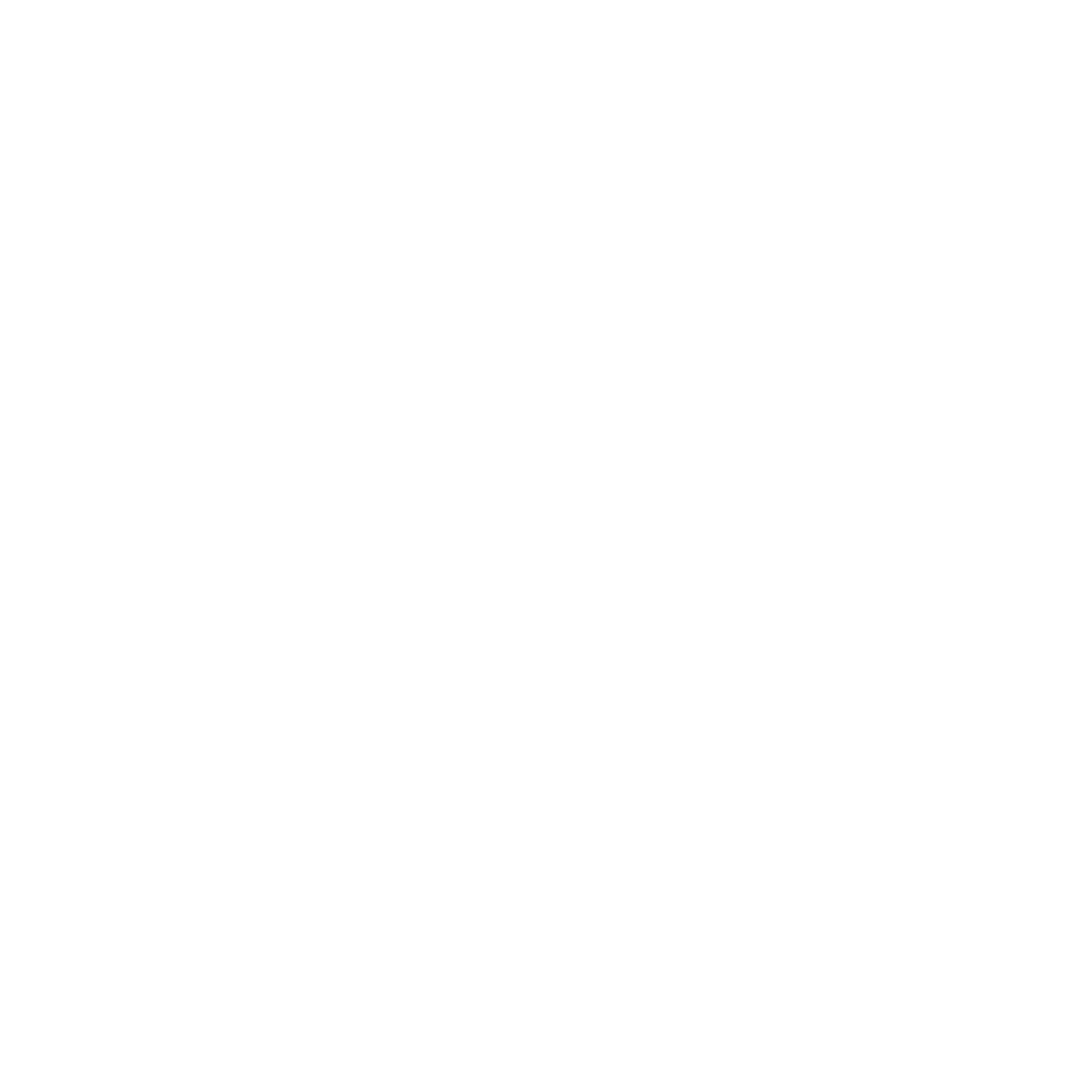 Ronnies Logo